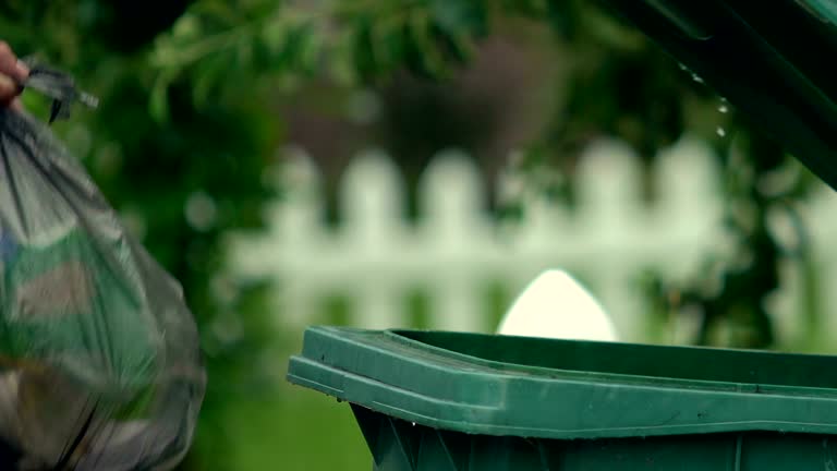 Best Moving and Downsizing Cleanouts  in Solon, IA